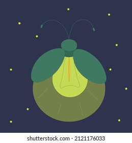 a firefly with a light bulb that illuminates the night sky