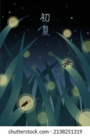 Firefly (lightning bug) flying in the grass land at night. Summer night vector illustration (Text word:early summer)