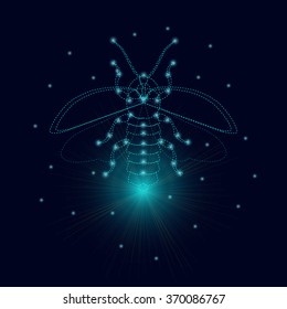 Firefly logo design template. Flying glowworm with luminous nodes at the intersections of the ribs.  Lightning bug with its wings open. Isolated vector illustration. 
