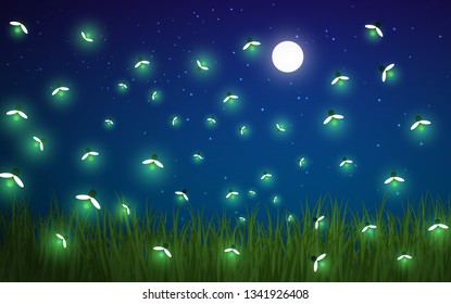 firefly at the meadow in the full moon night