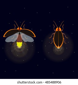 Firefly with open and closed wings on dark background. Luminous glowworm symbol. Two lightning bugs glowing at night. Perfect for your design.

