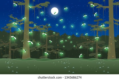 Firefly At The River In The Night