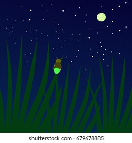 A firefly is sitting on the grass and looking at the moon. A dark blue background with stars and green grass. Vector illustration. 