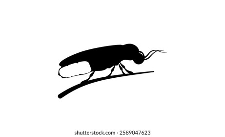 firefly symbol, black isolated silhouette