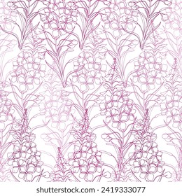 Fireweed. Floral seamless pattern on white. Line art. Vector. Monochrome. Perfect for design templates, wallpaper, wrapping, fabric and textile, print.