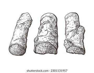 Firewood hand drawn texture set. Dry sticks. Vector engraving illustration, vintage texture sketch
