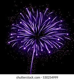 Firework bursting sparkle background. Isolated colorful night fire, beautiful explosion for celebration, holiday, Christmas, New Year, birthday. Symbol festive, anniversary Vector illustration