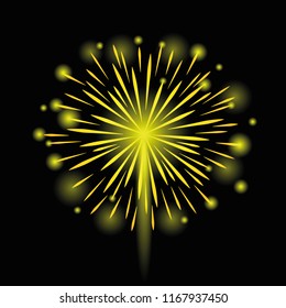 firework celebration on black background vector illustration EPS10
