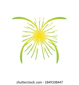 firework decoration explosion celebration carnival festive party vector illustration