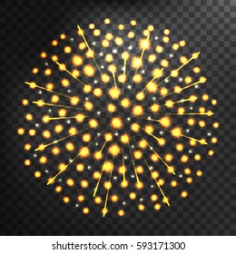 Firework different shapes colorful festive vector.