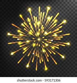 Firework different shapes colorful festive vector.