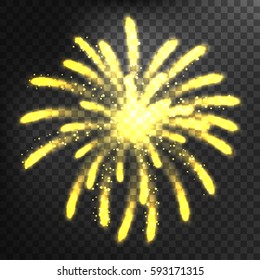 Firework different shapes colorful festive vector.
