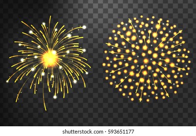 Firework different shapes colorful festive vector.