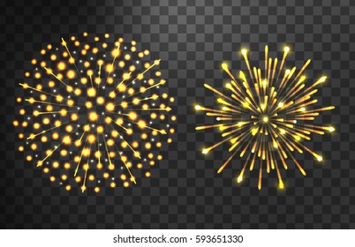 Firework different shapes colorful festive vector.