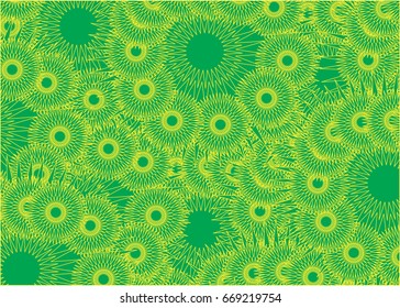 Firework different shapes colorful vector.