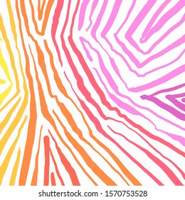 firework hand drawn  white background