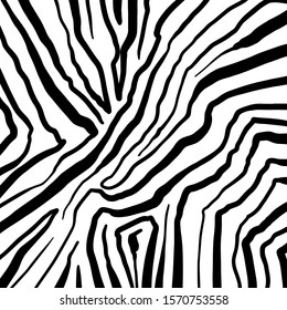 firework hand drawn  white background
