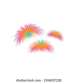 Firework illustration template vector design