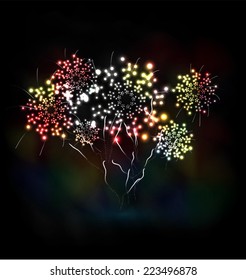 firework new year