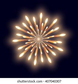Firework on the dark blue background. Vector illustration.