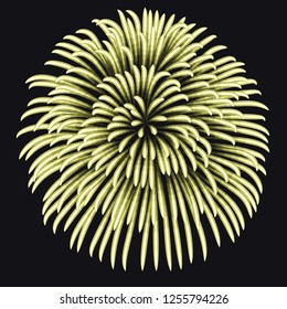 Firework on night background, anniversary bursting yellow fireworks with sparks. New Year Shining elements. Birthday celebration. Vector