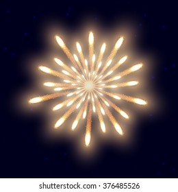 Firework on the night sky background. Vector illustration.