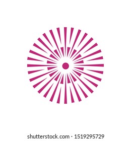 Firework vector icon illustration design template
