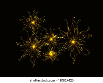 Fireworks background