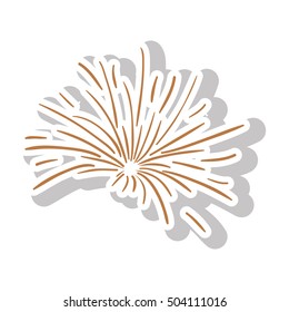 fireworks burst design