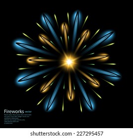 fireworks flower blue vector