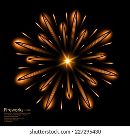 fireworks flower orange vector