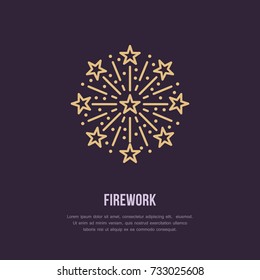 Fireworks line icon. Vector logo for event service. Linear illustration of new year firecrackers, salute.