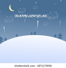 fireworks in the new year