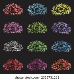 fireworks on the background vector