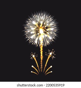 Fireworks shining in the night sky