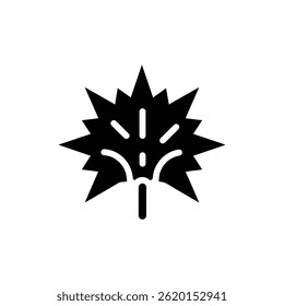 Fireworks Spark Explosion Minimal Icon