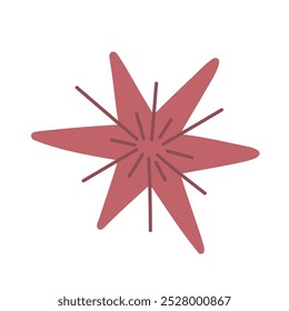 Fireworks or star. Flash. Abstraction.