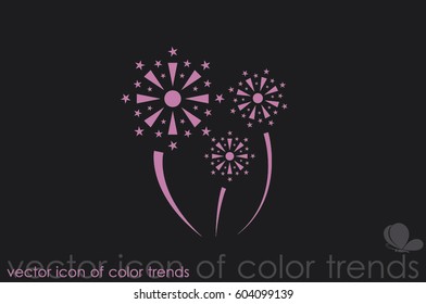Fireworks vector icon.