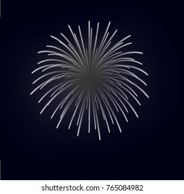 Fireworks vector illustration