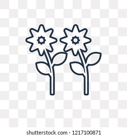 Fireworks vector outline icon isolated on transparent background, high quality linear Fireworks transparency concept can be used web and mobile