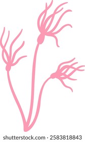 Firing pink neurons connecting to form a complex network against a clean white background, creating a striking minimalist illustration of the nervous system