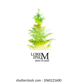 Firs Picturesque landscape. Vector