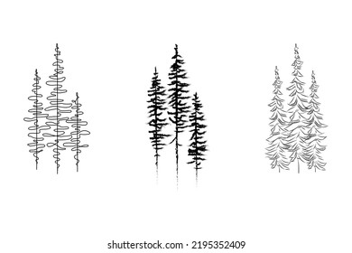 Firs , pines .Black pines silhouette vector set,  tattoo idea.