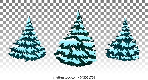 Firs in the snow. A set of Christmas trees with snow. Isolated. Festive decor. Drawing. Christmas. Vector illustration. Eps 10.