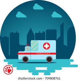 First aid will always come to the rescue of animals