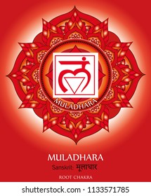 First chakra illustration vector of Muladhara