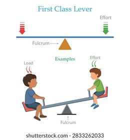 First Class Lever Diagram Showing Load, Effort, Fulcrum and Seesaw Example.