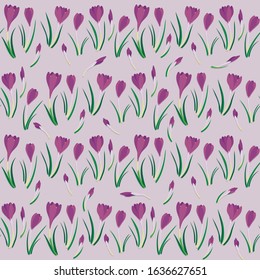 first crocuses in horizontal rows spring fresh floral  botanical seasonal seamless pattern on light pink background
