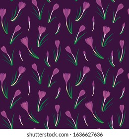 first crocuses mess spring fresh floral  botanical seasonal seamless pattern on dark purple background