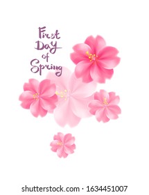 First day of spring, lettering. Pink large 3d sakura flowers, background for design.